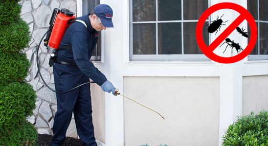 Payamlı Böcek ve Haşere İlaçlama böcek ilaçlama ve haşere kontrolü — ilaclama-tr.com